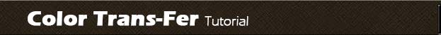 Color Trans-Fer Tutorial